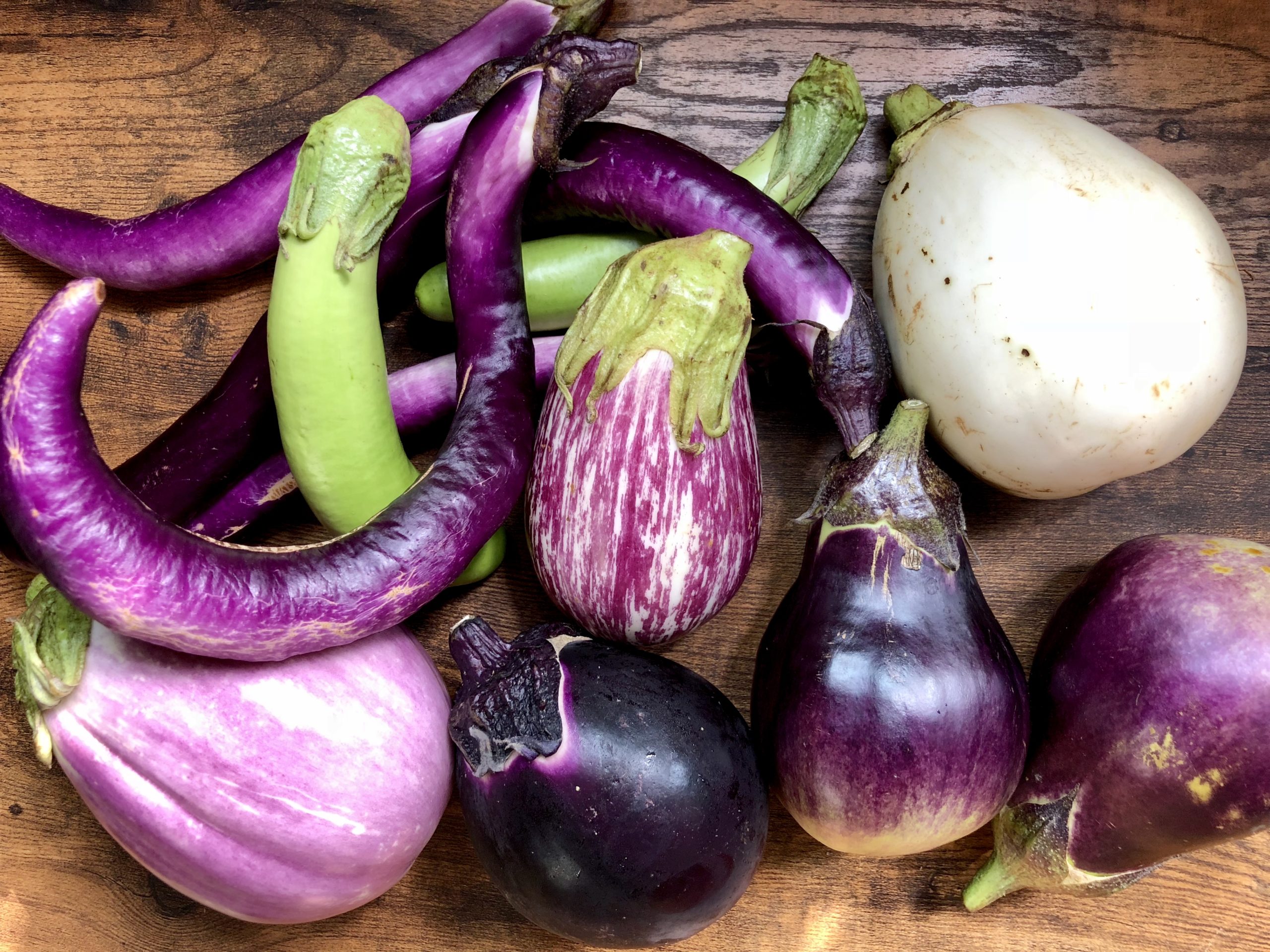 上品】 野菜の種 紫なす アレキサンドラ ムラサキと白の縞 タネ 2０粒