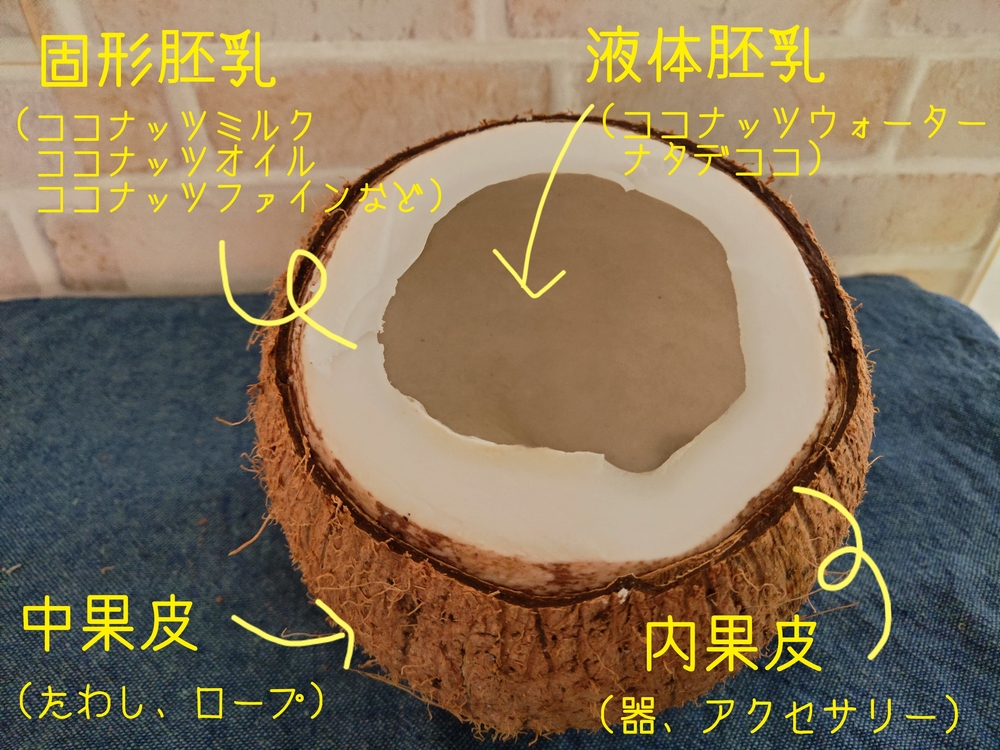 ココナッツの実にストローをさす飲み方に挑戦 ココナッツミルクとオイルも作ってみた 食オタmagazine 食のオタクによる食育webマガジン