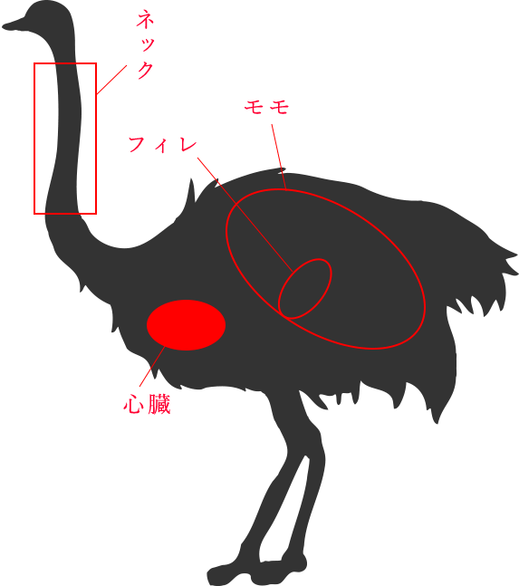 ダチョウ肉ってどんな味 食べ方を調査 食オタmagazine 食のオタクによる食育webマガジン