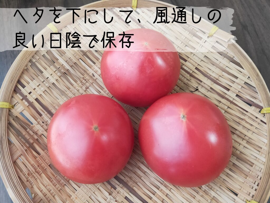 トマトが大量に届いたら 保存 皮むき 食べ方 消費方法研究 食オタmagazine 食のオタクによる食育webマガジン