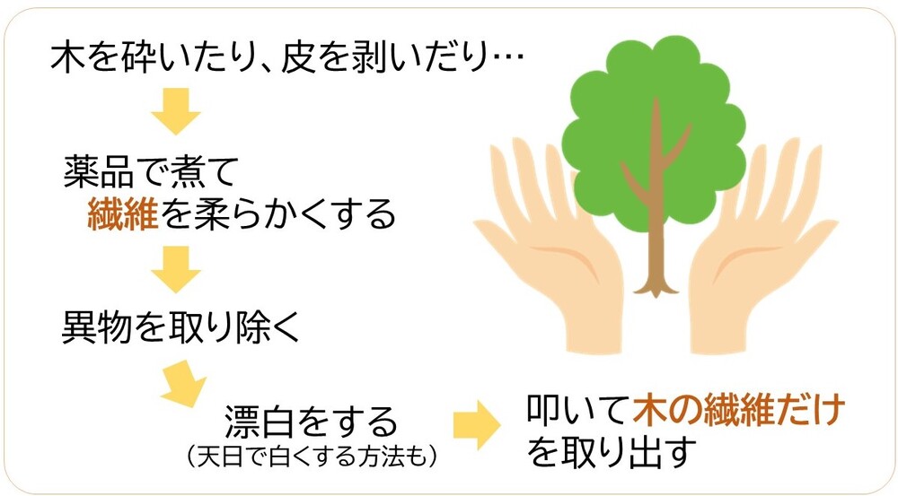 野菜で紙をつくるコツと方法は 捨てちゃうところを活用しよう ガジェット通信 Getnews