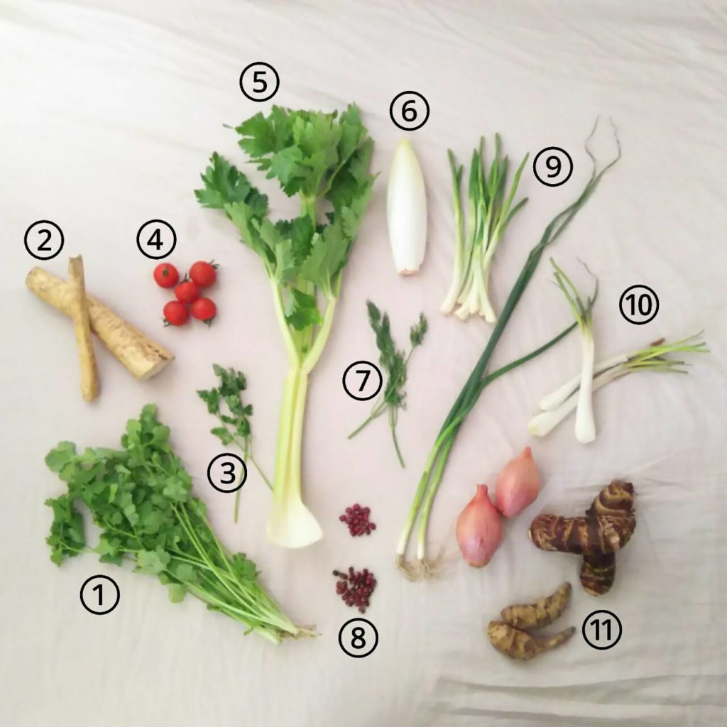 まぎらわしい野菜を区別しよう モヤモヤ整理 食オタmagazine 食のオタクによる食育webマガジン